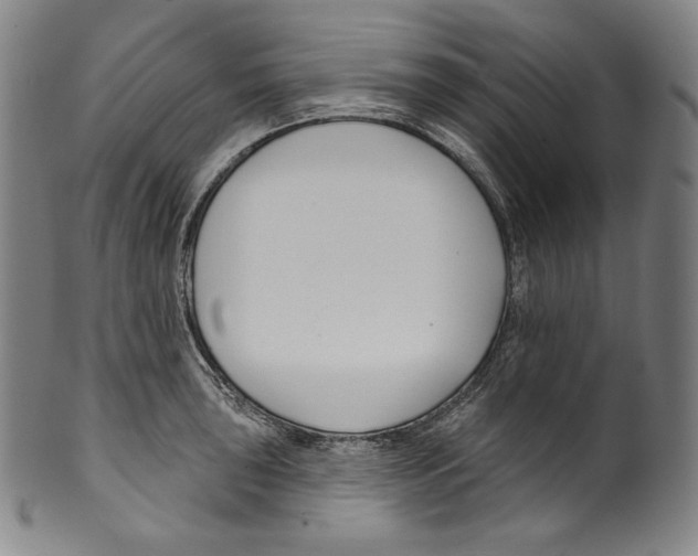 X0000099441043200806061039