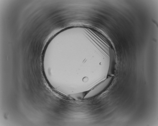 X0000099441045200806061039