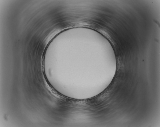 X0000099441047200806061039