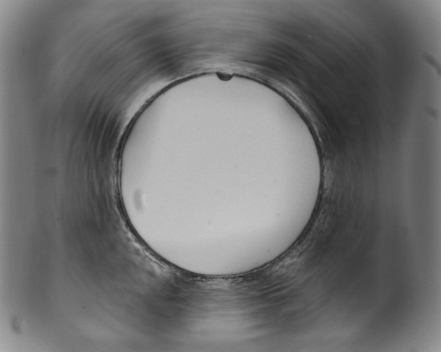 X0000099441048200806061039