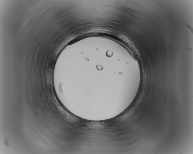 X0000099441049200806061039