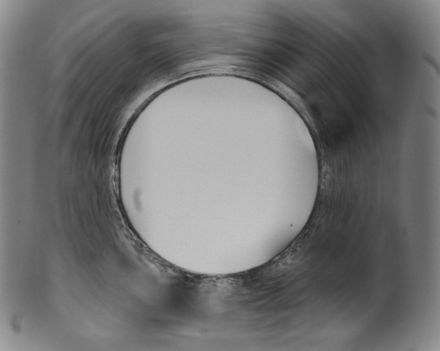 X0000099441051200806061039