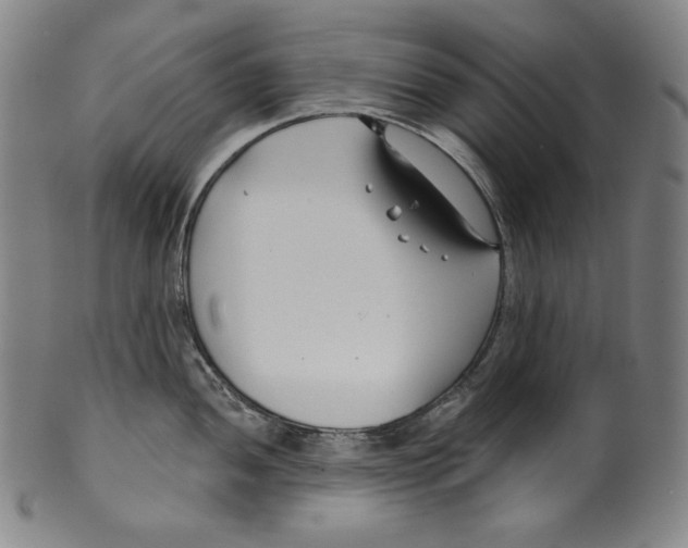 X0000099441052200806061039