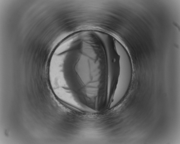 X0000099441053200806061039