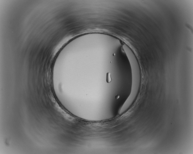 X0000099441054200806061039