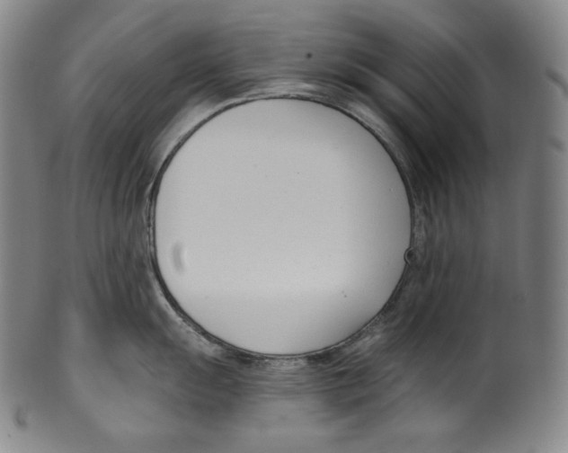 X0000099441055200806061039