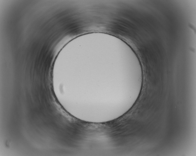 X0000099441056200806061039