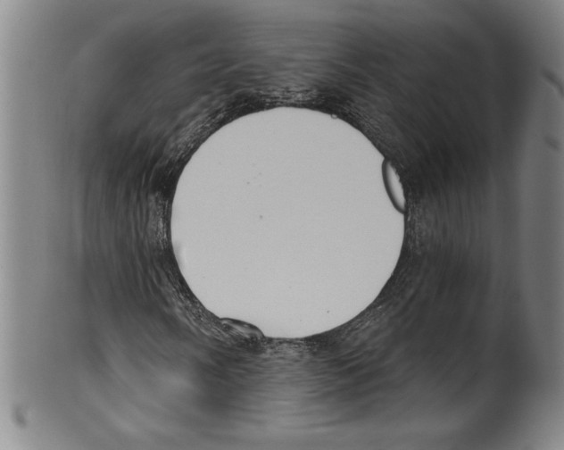 X0000099441058200806061039