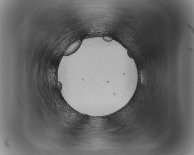 X0000099441059200806061039