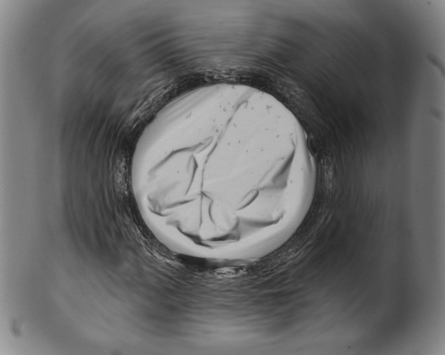 X0000099441060200806061039