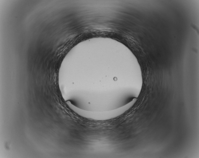 X0000099441061200806061039