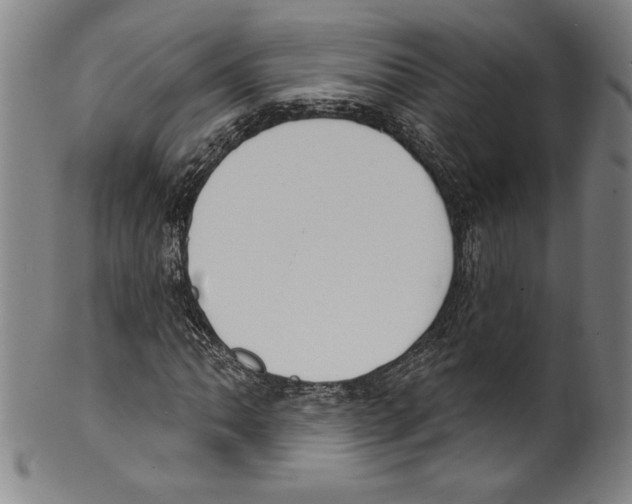 X0000099441062200806061039