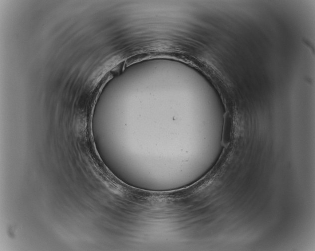 X0000099441065200806061038