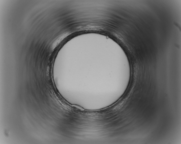 X0000099441066200806061038