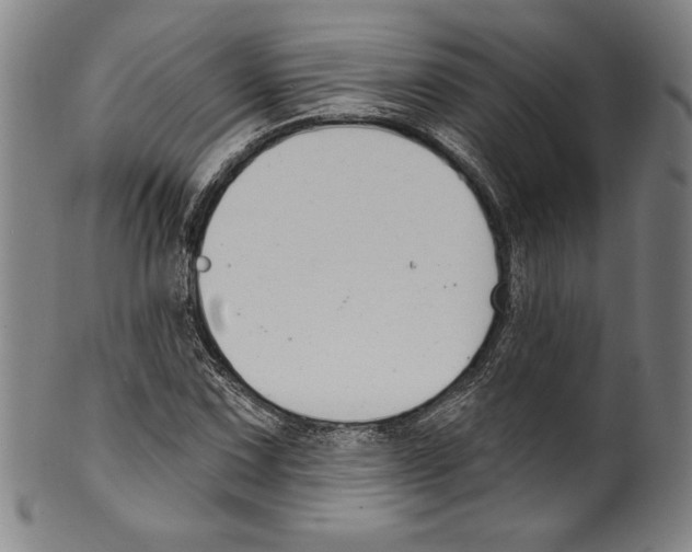 X0000099441067200806061038