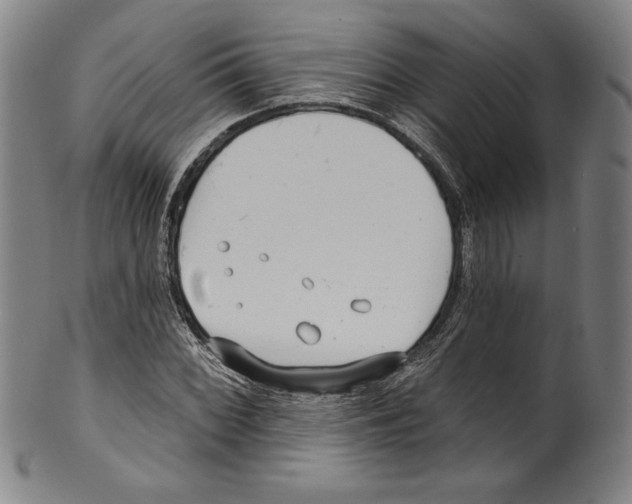 X0000099441068200806061038