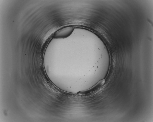 X0000099441069200806061038