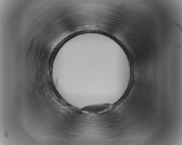 X0000099441070200806061038