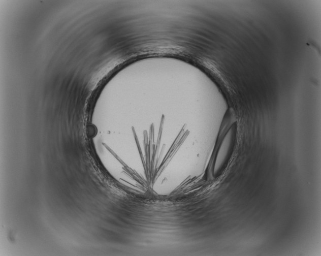 X0000099441071200806061038
