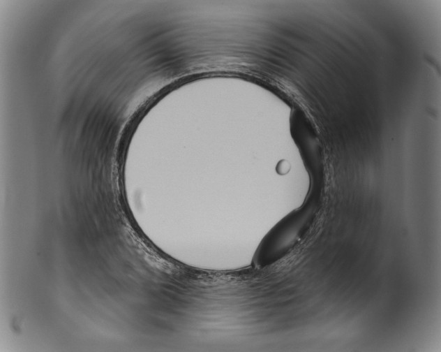 X0000099441072200806061038