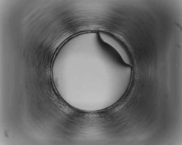 X0000099441073200806061038