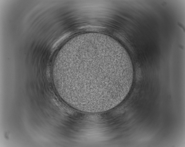 X0000099441074200806061038