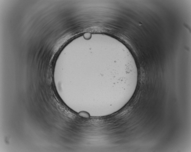 X0000099441075200806061038