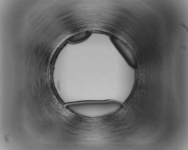 X0000099441076200806061038