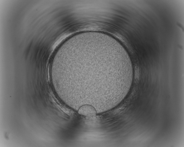 X0000099441078200806061038