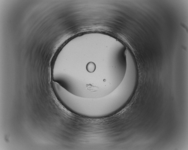 X0000099441079200806061038