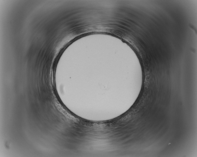 X0000099441080200806061038