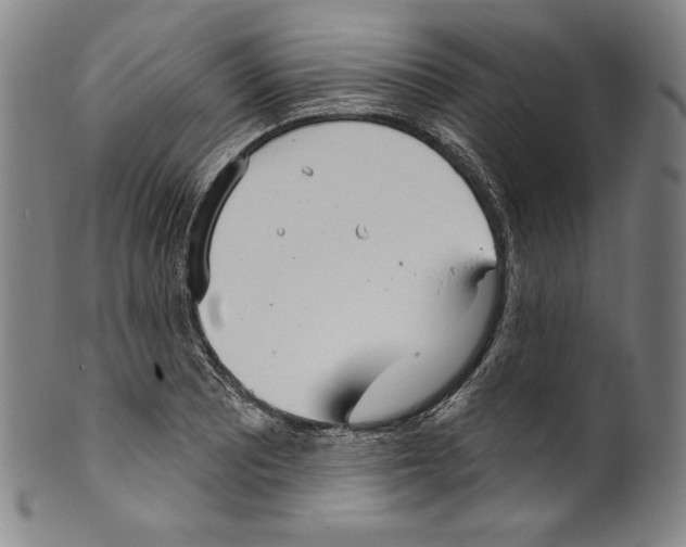 X0000099441081200806061038