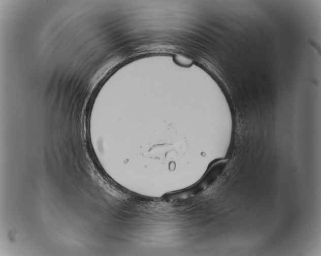 X0000099441082200806061038