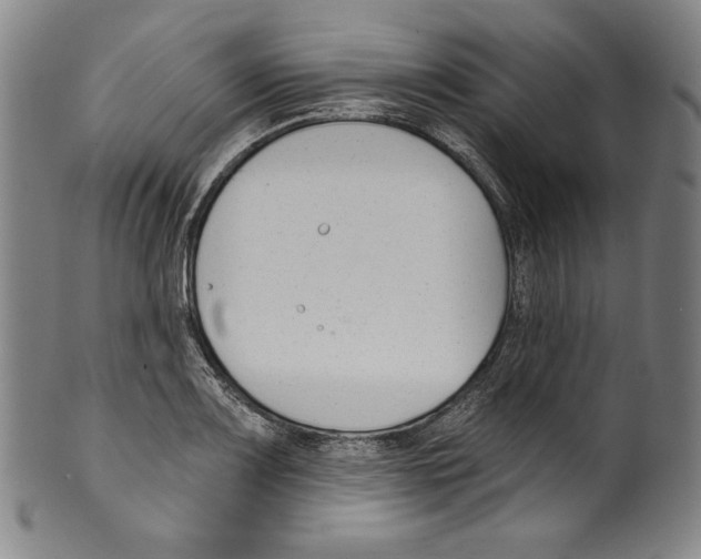 X0000099441083200806061038