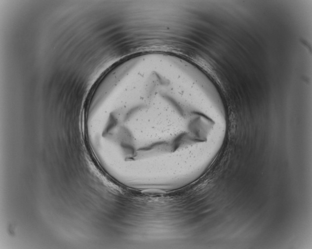 X0000099441084200806061038