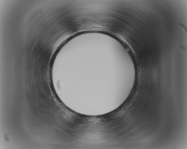 X0000099441085200806061038