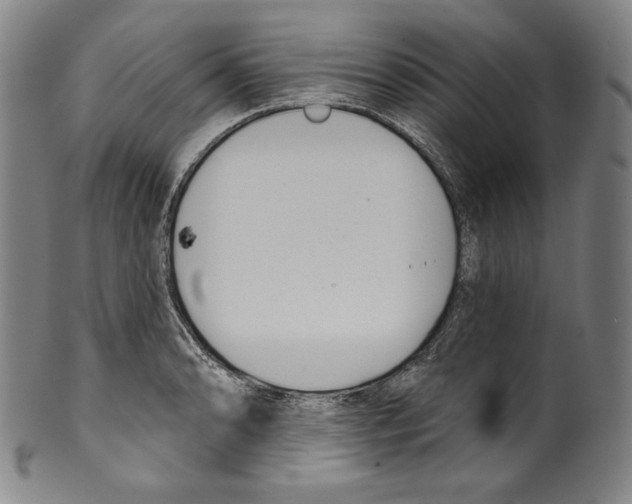 X0000099441086200806061038