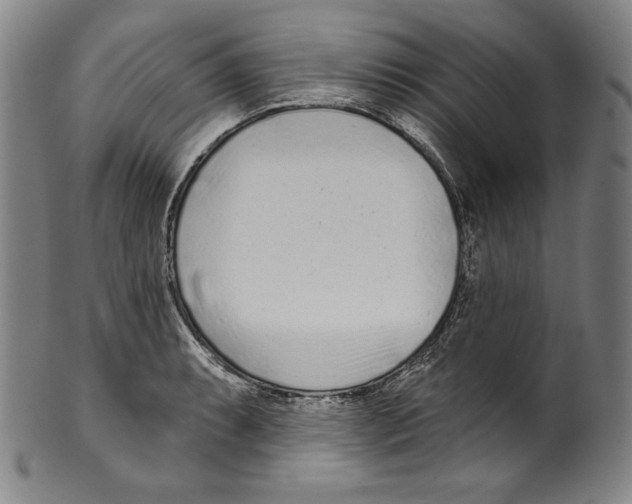 X0000099441087200806061038