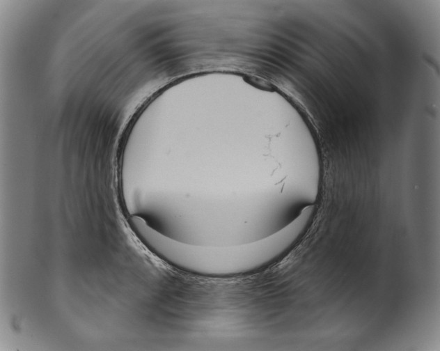 X0000099441088200806061038