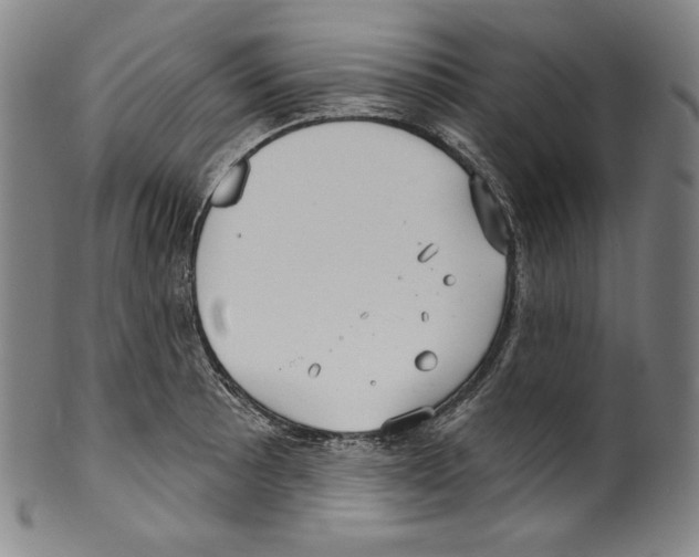 X0000099441089200806061038