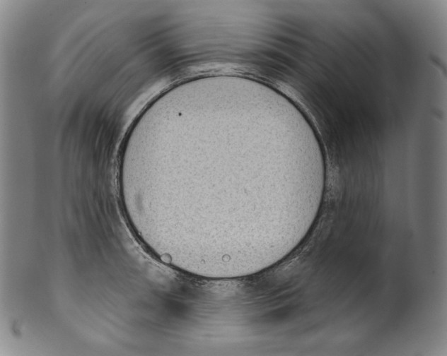 X0000099441090200806061038