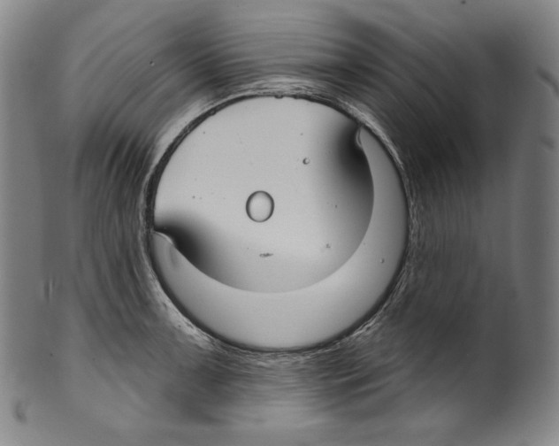 X0000099441091200806061038