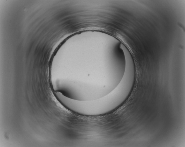 X0000099441092200806061038