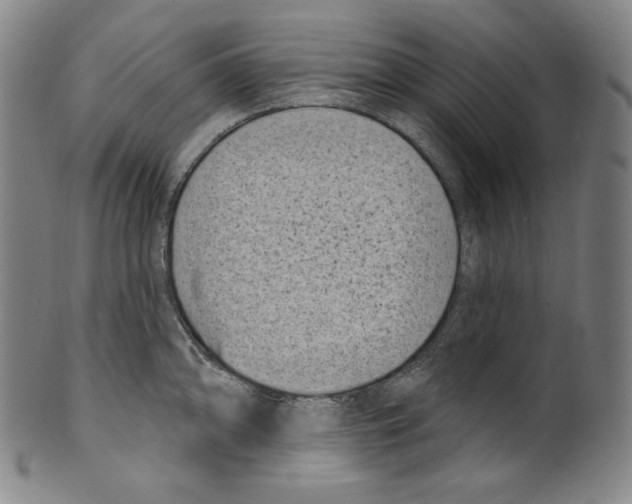 X0000099441094200806061038