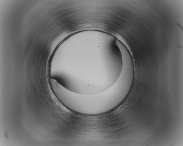 X0000099441096200806061038