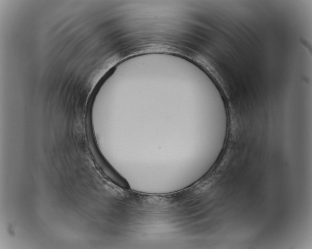 X0000099441097200806061038