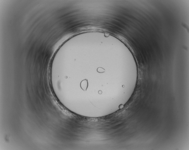 X0000099441098200806061038