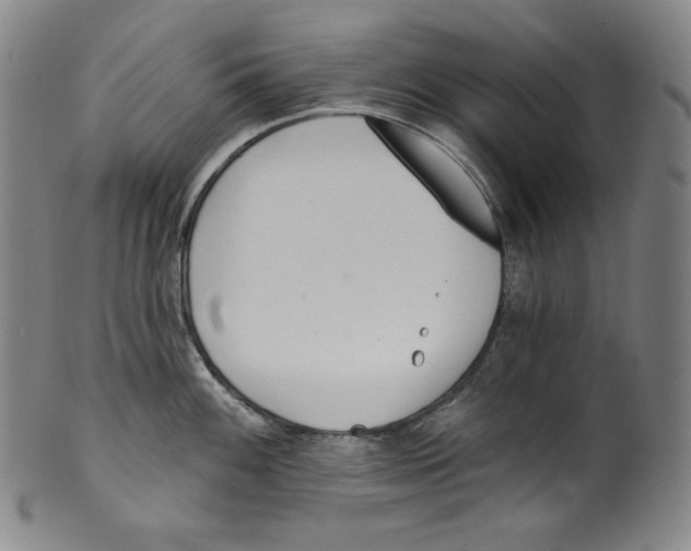 X0000099441100200806061038