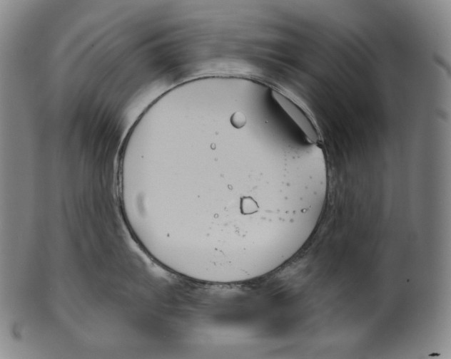 X0000099441103200806061038