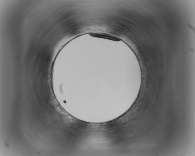 X0000099441104200806061038